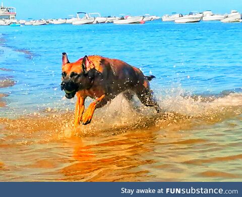 Play time on the beach