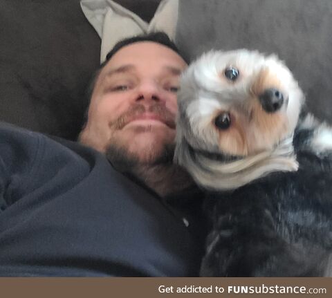 At first glance my dog looks like a deformed muppet