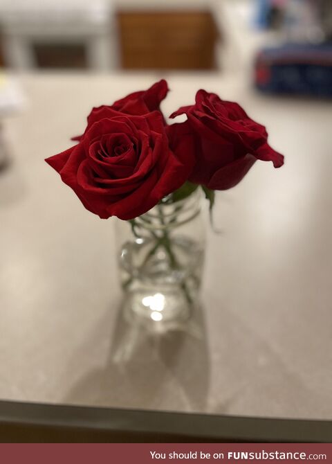 [oc], parking garage roses