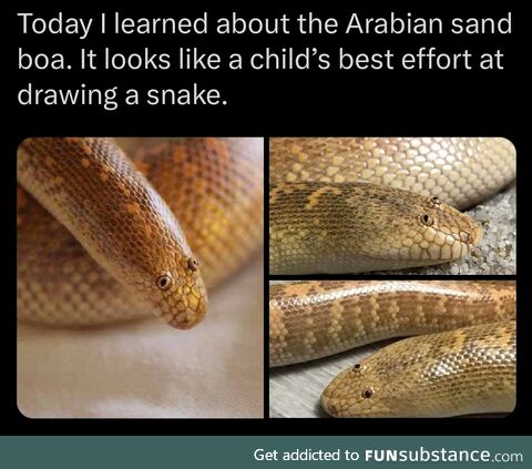Snek