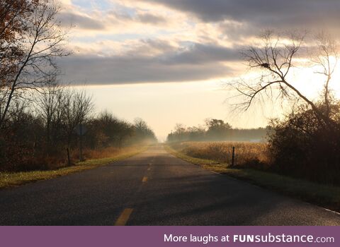 Misty michigan morning sun