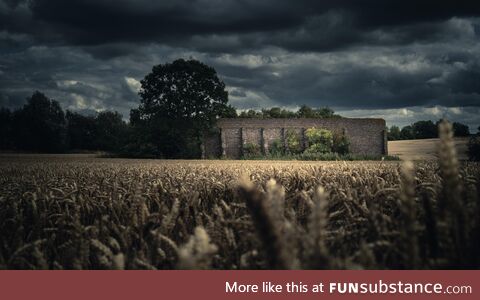 An old firing range now sits in a field of gold