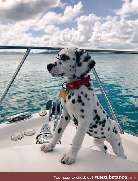 Captain woofy onboard 