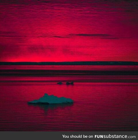 Arctic sunset