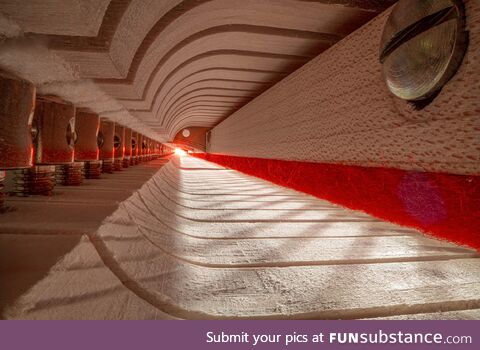 Inside a Steinway Grand Piano