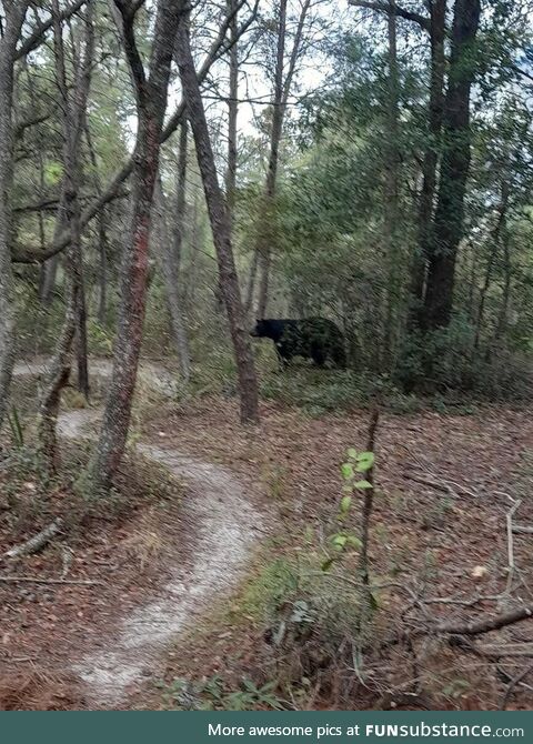 Mountain biking in Central Florida when…