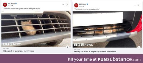If I had a nickel for every time the BBC reported on a cat being stuck in a car engine