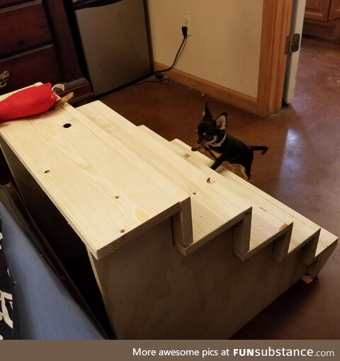 Built my girl "Schmuffin" some steps so she can get in the bed and cuddle me!!