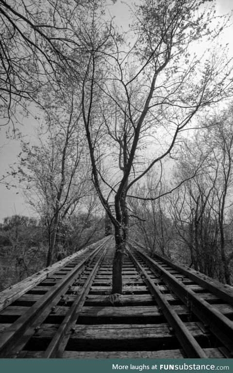 One of my favorite photos I've ever taken
