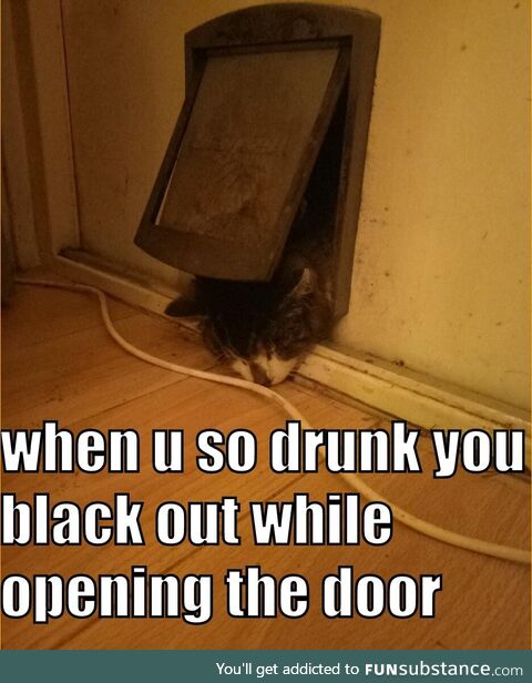 My cat is a fricking drama queen