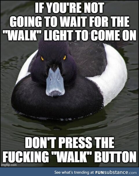 I love sitting at a red light for no damn reason while you stroll off