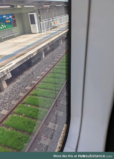 A train dropped a heap of grain, followed by some solid rain. Train grain rain tracks