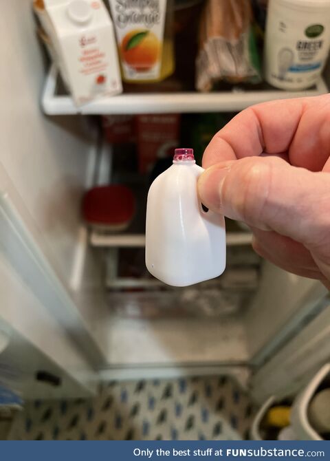 My daughter told me we only had a little milk left in the fridge