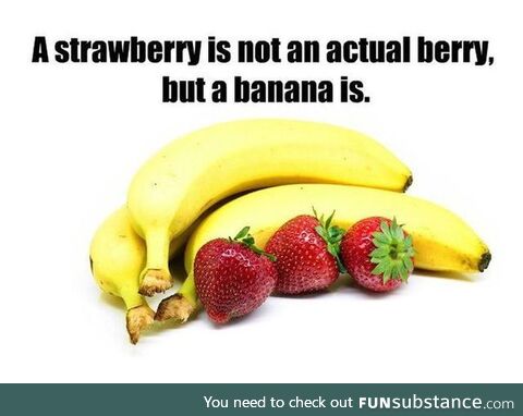 Now you know