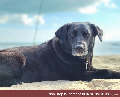 My sweet old lady at the beach