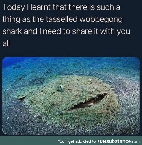 Now you know