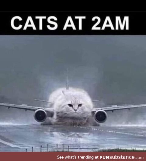 True