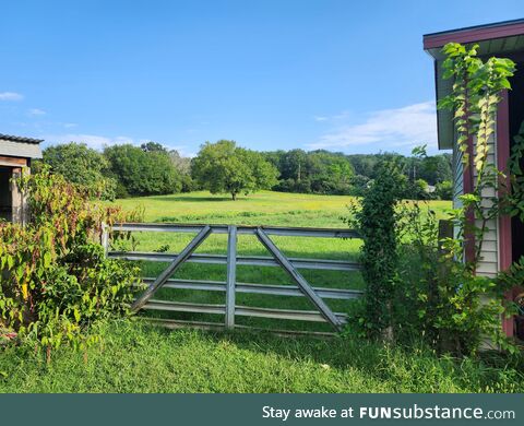 The field in my buddy's back yard