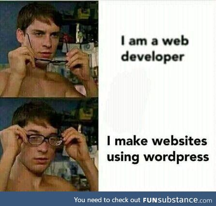 wordpressDeveloper