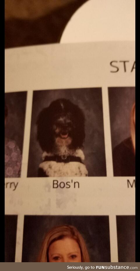 My kids elementary school put the therapy dog in with the staff, love it but also