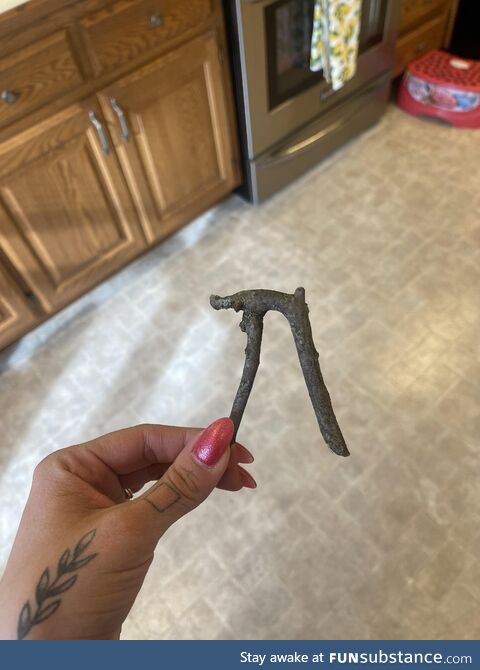 My kid came home from the bus stop and declared that he had found a "stick of pie", and