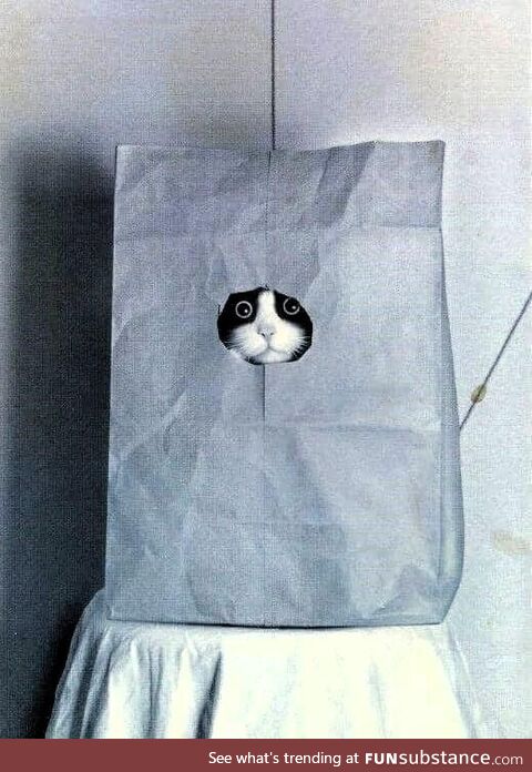 I doubt you'll find me here!