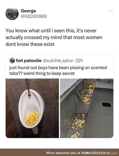 Ladies are missing out on the tasty toilet blocks