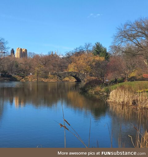 Central Park. Took this with my phone, thought it looked good