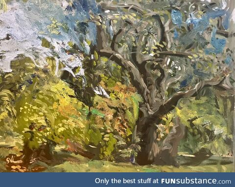 My attempt at realism in oil paint