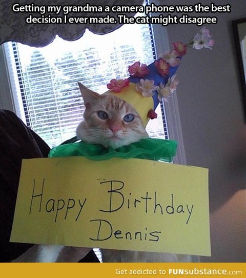 The cat might disagree