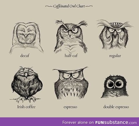 The wonderful world of coffee explained by owls {o,o}