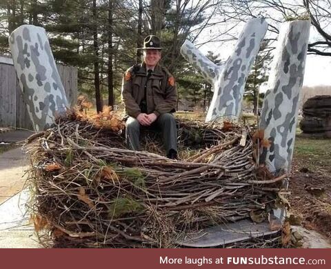 A bald Eagle's nest. Ranger included for scale