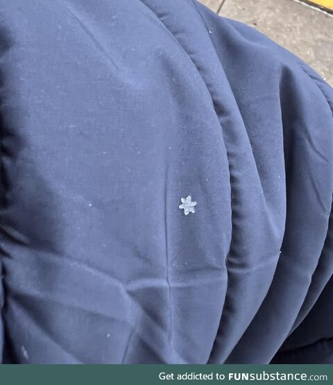 This snowflake landed on my jacket