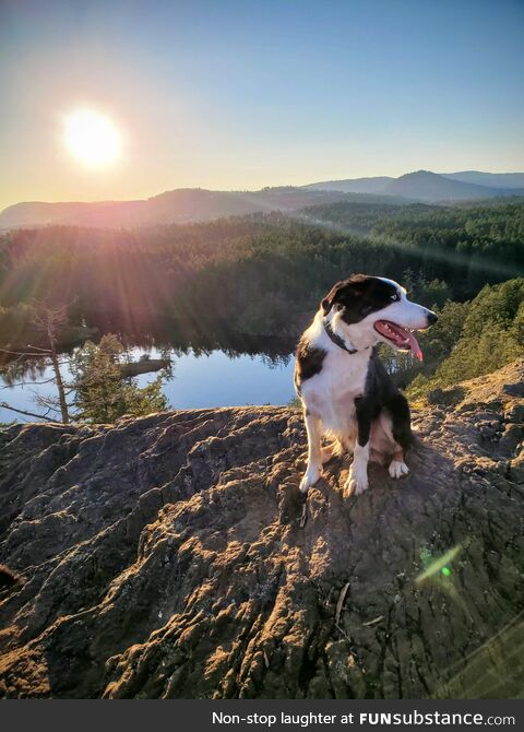 Love where you live. (Vancouver Island)