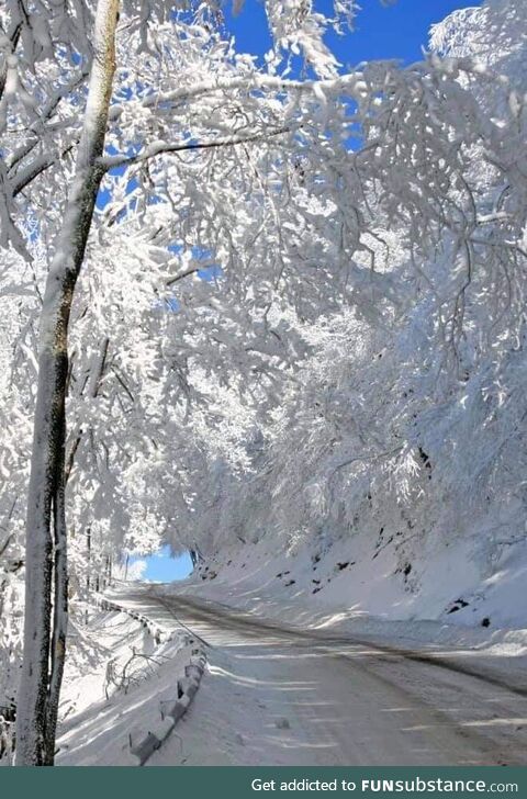 Winter Magic in West Virginia