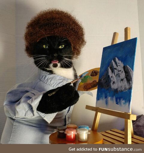 "There are no meow-stakes, only happy accidents."