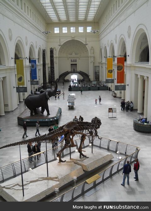 Field museum, chicago