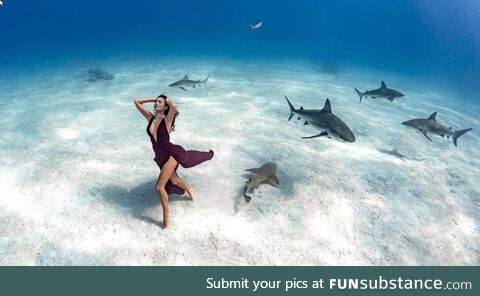 Guinness record with a photo shoot 40 meters under the sea