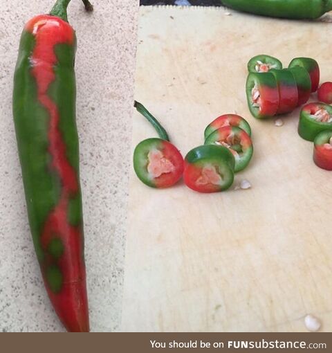 This pepper was ripening in a cool looking pattern of patches