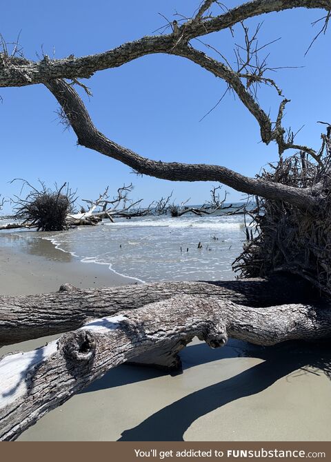 Quiet beach on Hunting Island, SC