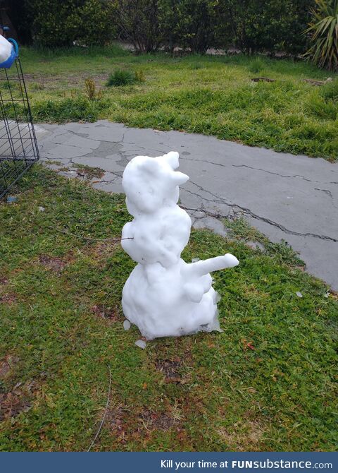 We haven't had snow in our town since 1988, this survived the night