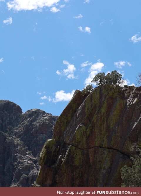 The lincoln National Mountains, New Mexico