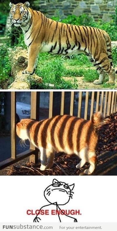 Cat wants to be a tiger too