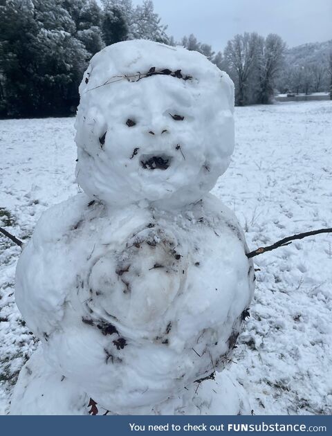 Rare snowfall in California. Friend set out to make a “realistic” snowman…