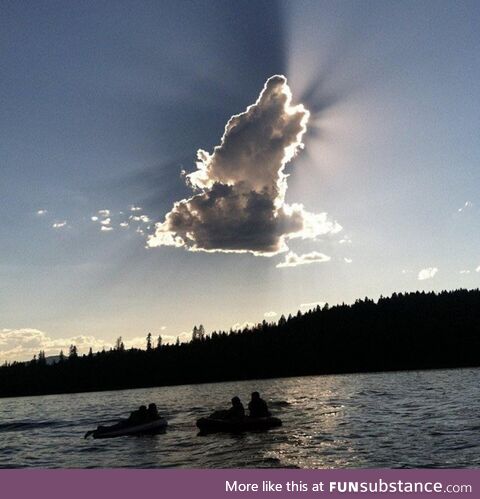 The perfect wolf cloud