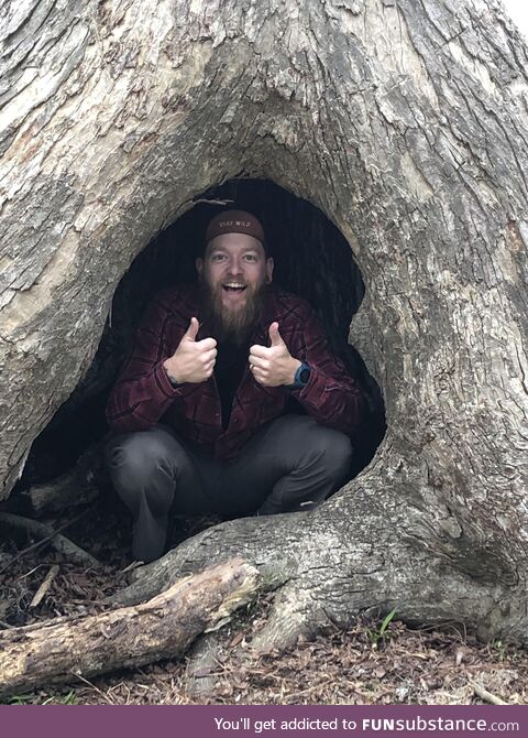 Went for a walk in a park……. Found a random Canadian in a tree! [OC]