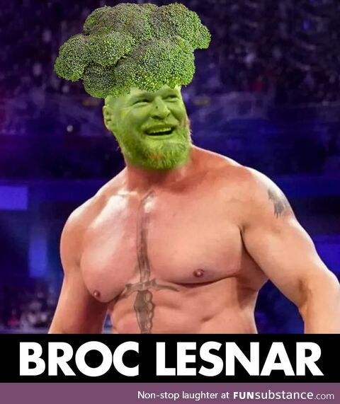 Broc lesnar