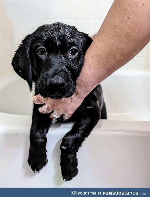 Leo's first bath
