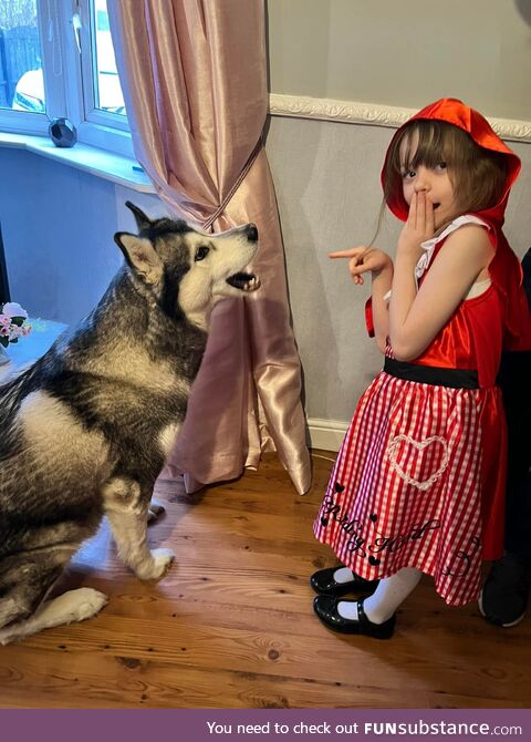 Little red & the wolf