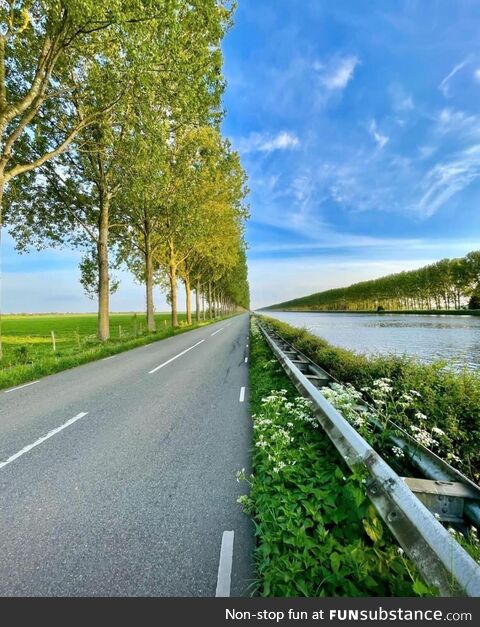 Single picture of a Dutch landscape . Photo by Rob Hoeijmakers